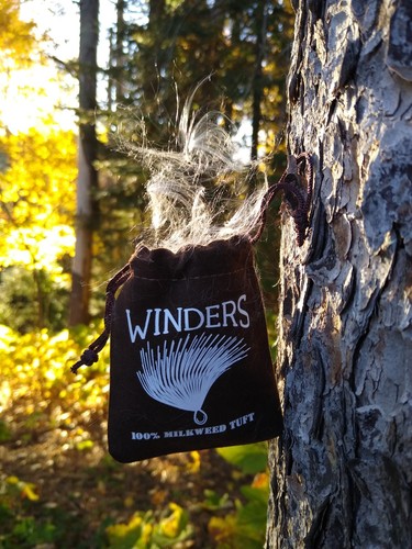 Wind checker milkweed - wind,